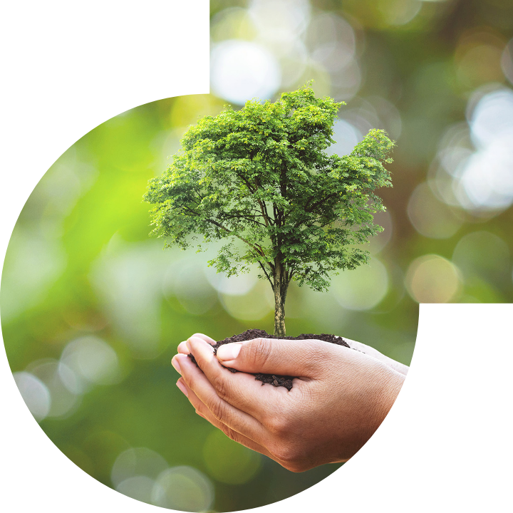 關懷人類、文化、環境與社會